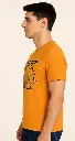 orange left 0005.webp