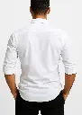white shirt back.webp